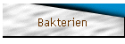 Bakterien