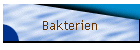 Bakterien