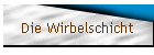 Die Wirbelschicht