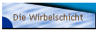 Die Wirbelschicht